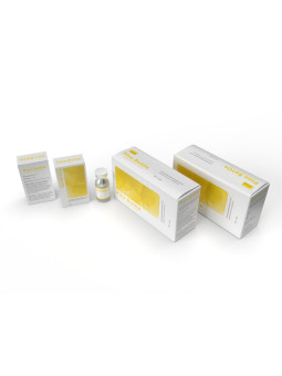 Pinebottle - analogue...